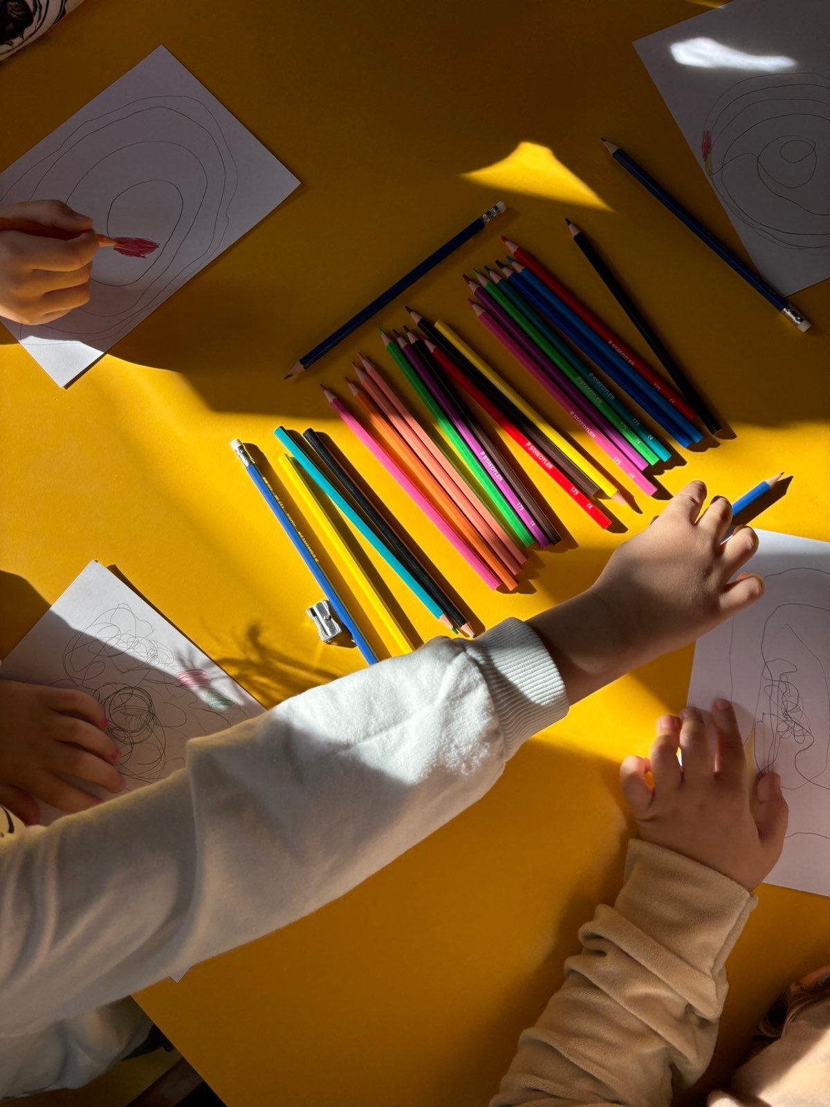 Workshop Kindergarten Orce Nikolov - 4